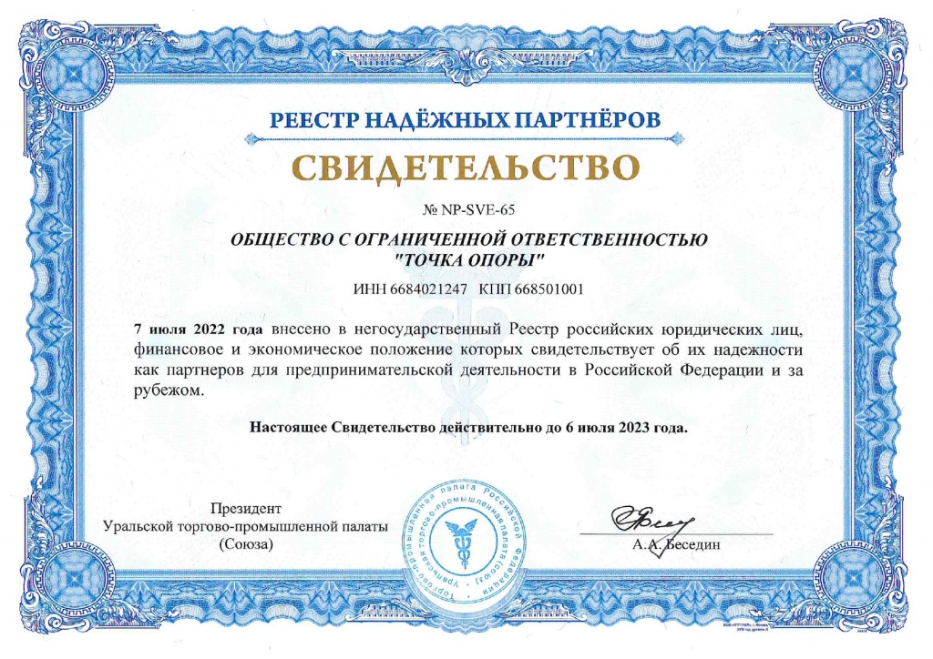 Свидетельство Точка опоры.jpg